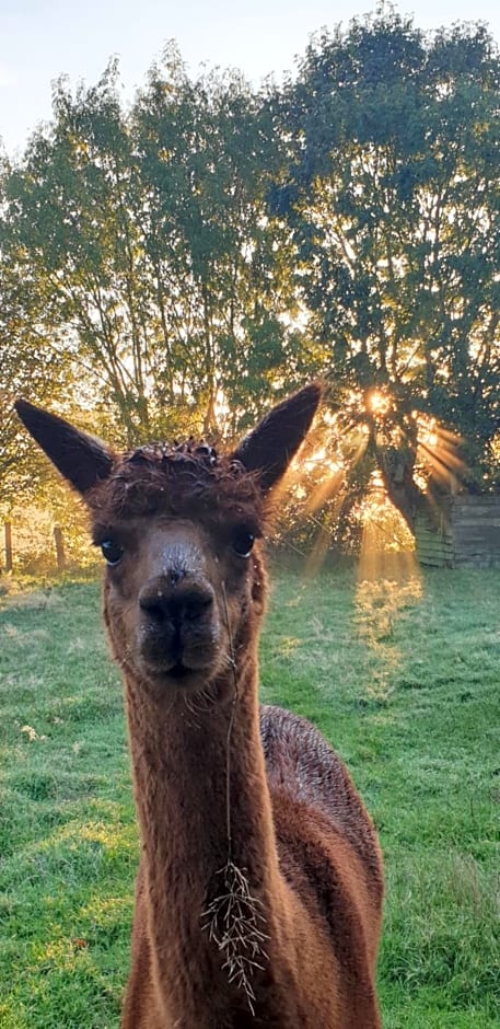 Aux murmures de la nature