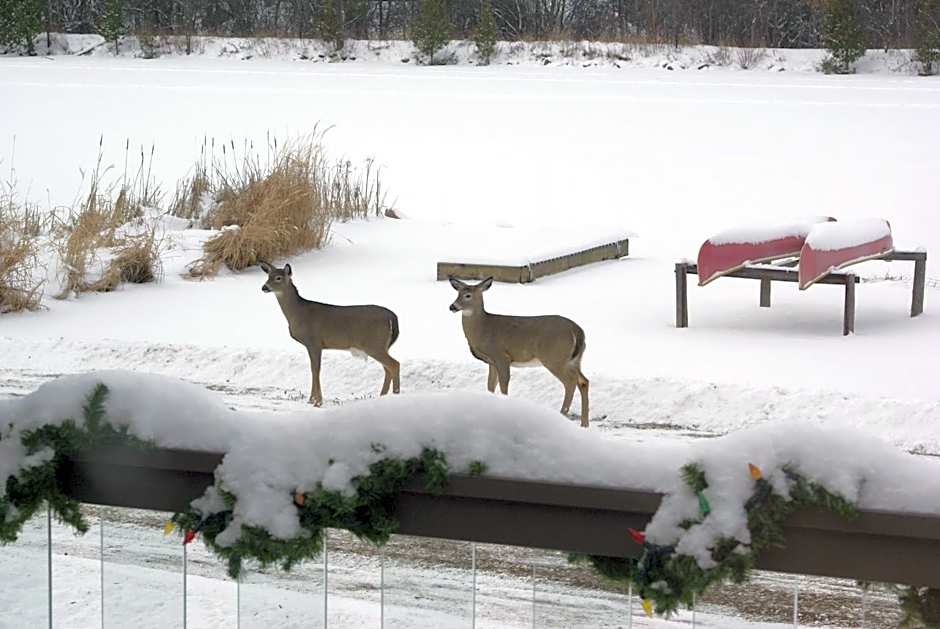 Liftlock Guest House