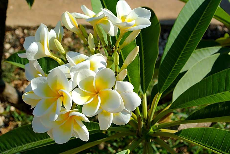 BedAndBreakfast Al Vecchio Pontile Sea View