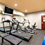 Best Western South Plains Inn & Suites