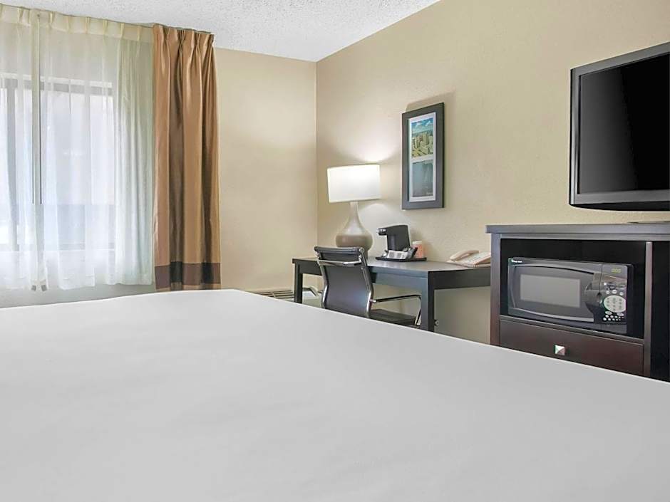 Comfort Inn Detroit Downtown