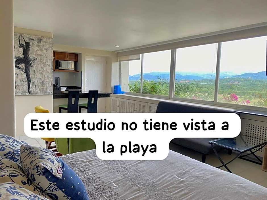Elegant Beachfront Studio in Monarca Ixtapa