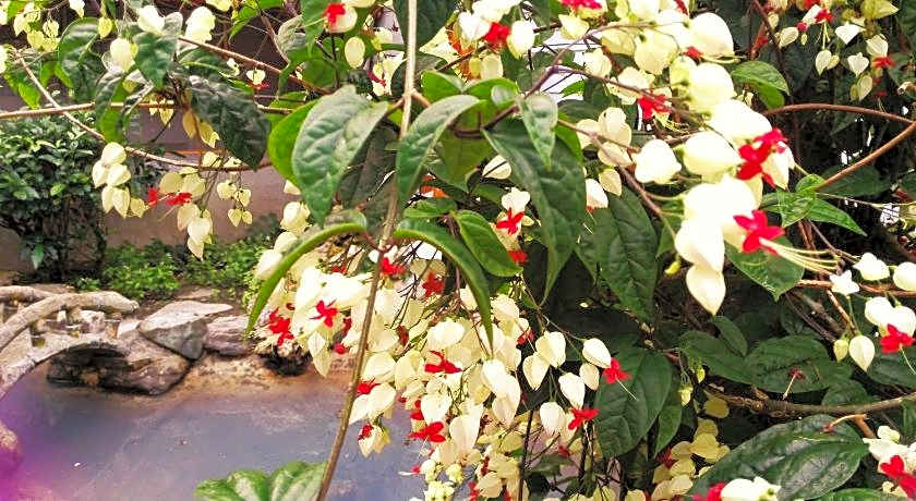 Ruei Suei Hot Spring Hotel