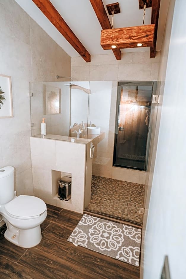 Oasis 444