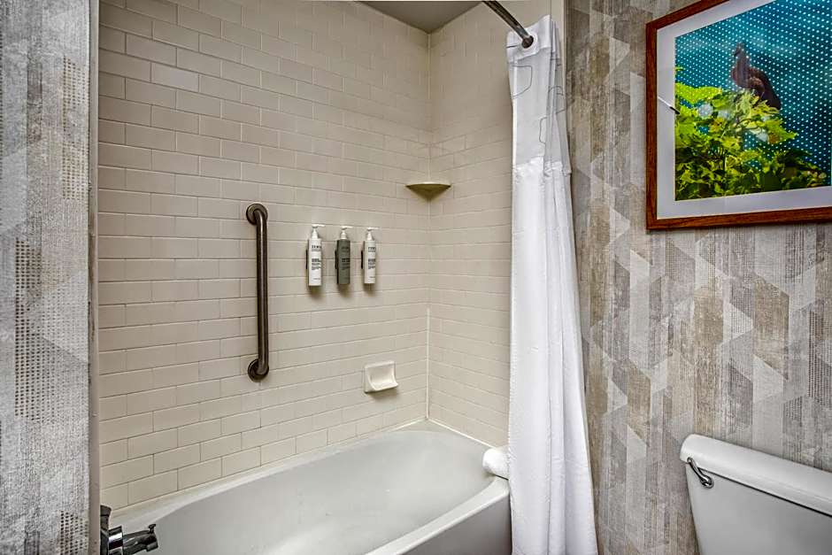 Hampton Inn By Hilton & Suites Deland