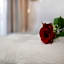 Petit Palace Suites Hotel