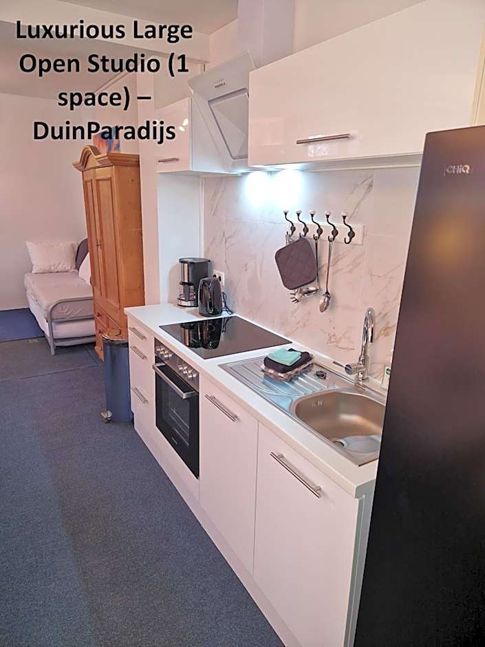 DuinVliet - Zandvoort Dunes & Free Parking