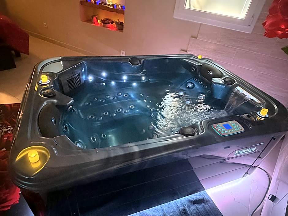 Le Cocon SPA Évasion Privée - jacuzzi -