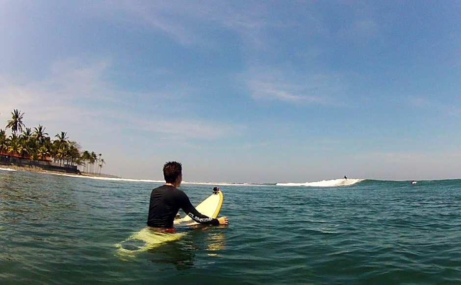 Jungle House - surf & stay