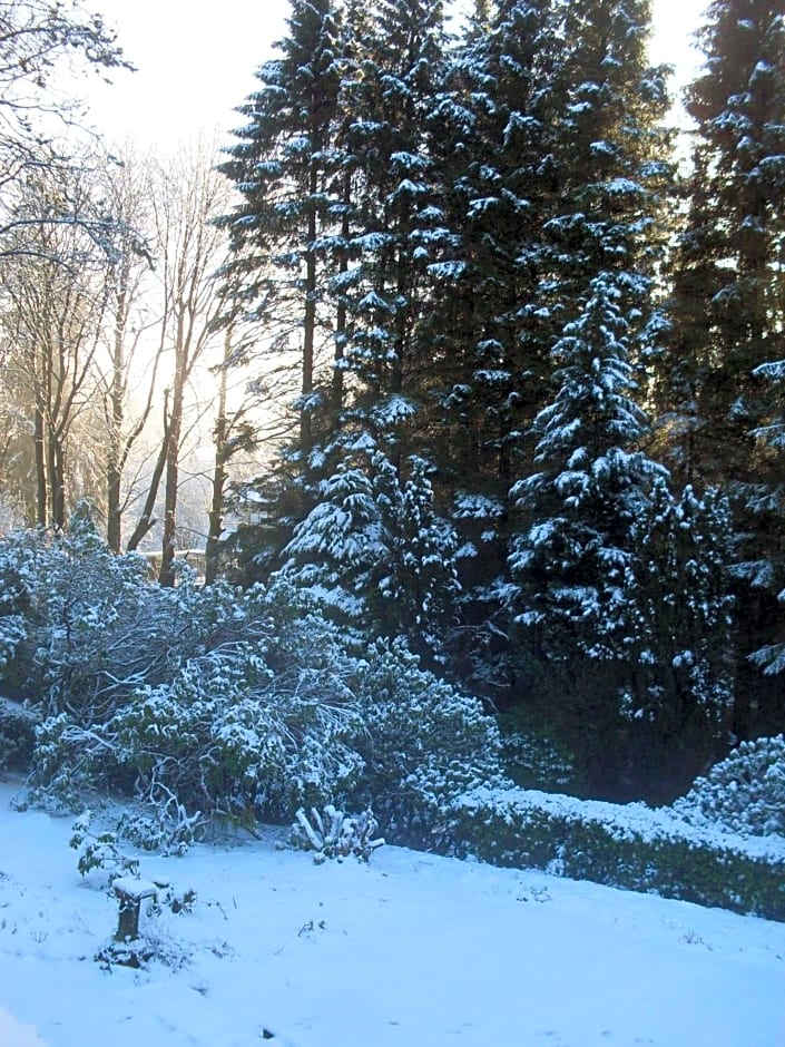 lyne view, log cabin