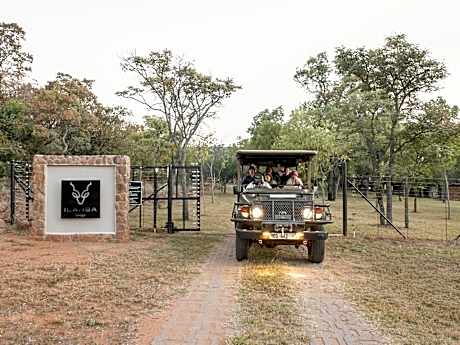 Ilanga Safari Lodge - Welgevonden Game Reserve
