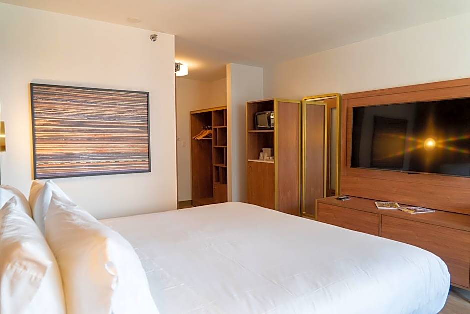 Hotel Indigo Detroit Downtown, an IHG Hotel By IHG