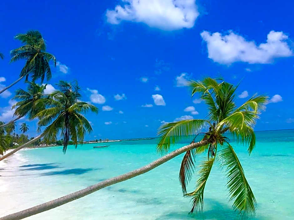 Nazaki Beach Hotel ALL INCLUSIVE Food Drinks Scuba Spa Kite Surf