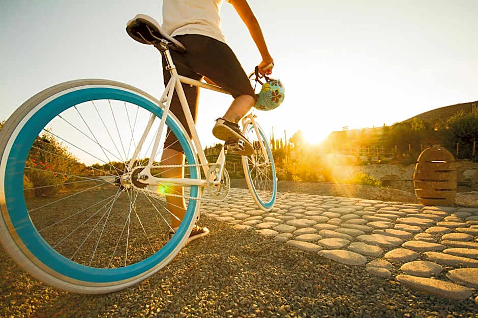 Aelia Wellness Retreat