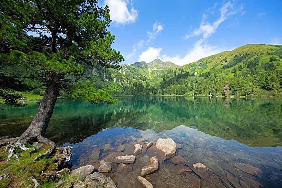 Alpenhotel & Aparthotel Lanz