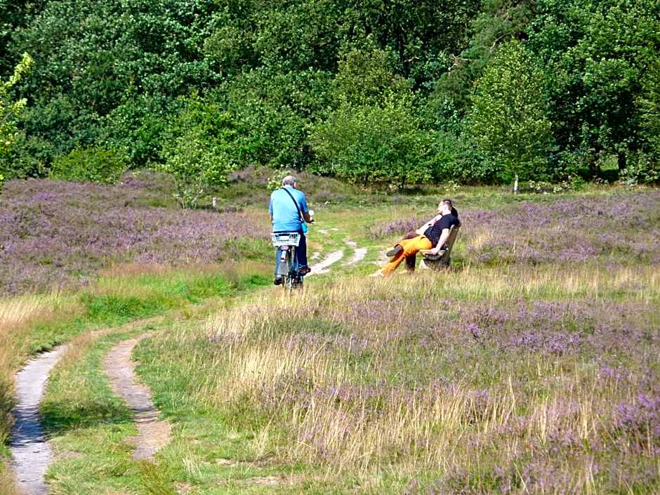 Akzent Hotel Zur Wasserburg