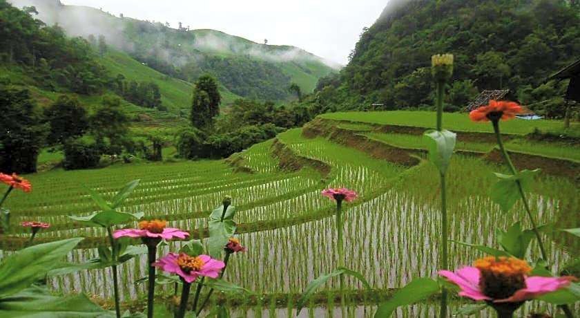 Kowit Maechaem Farmstay