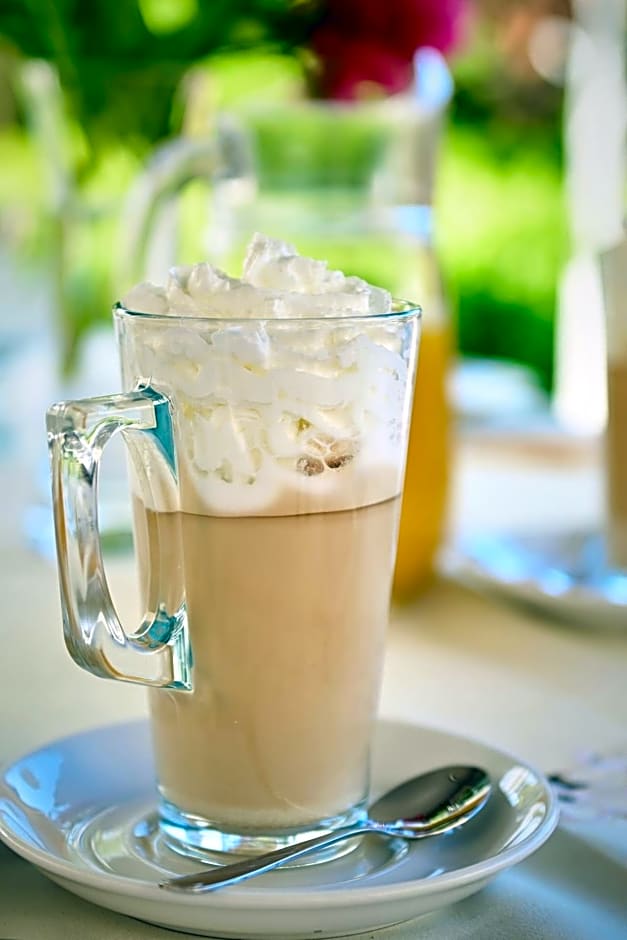 Willa Mycyny oraz domki