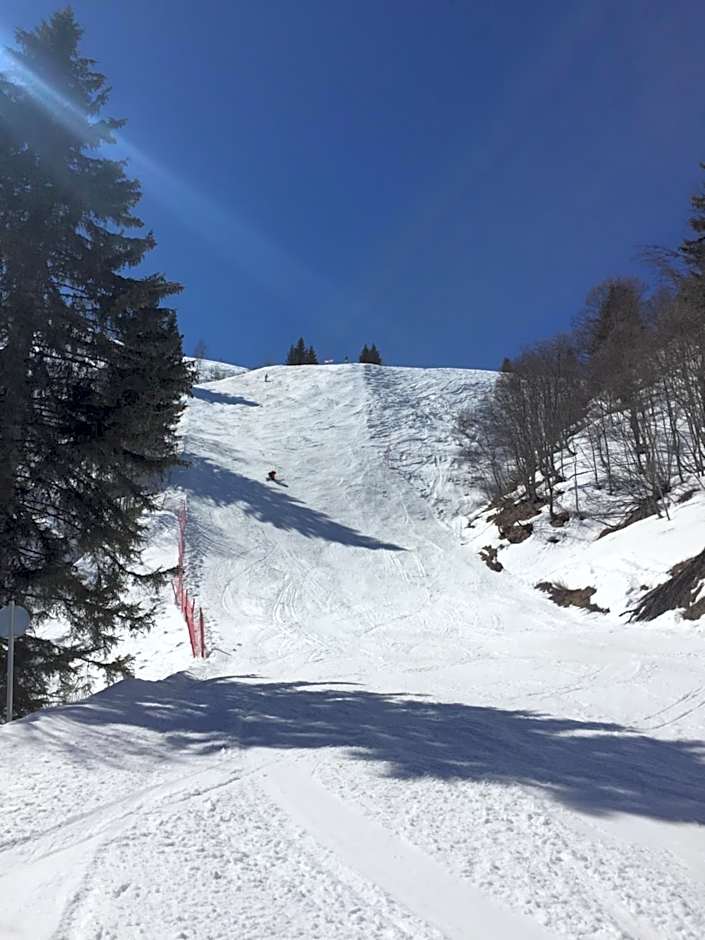 Luxury 2 Bedroom Apartment with view of Mont Blanc