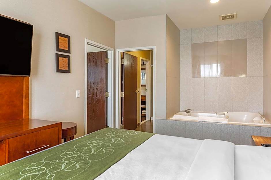 Comfort Suites Dover University Area