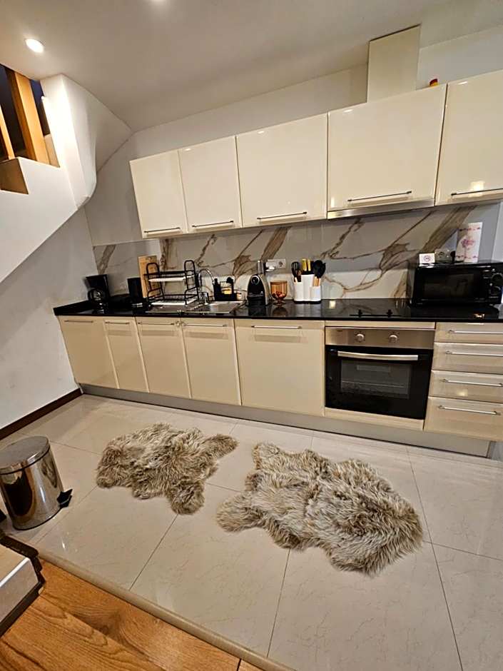 Apartment ZAX B7 in Terra Complex