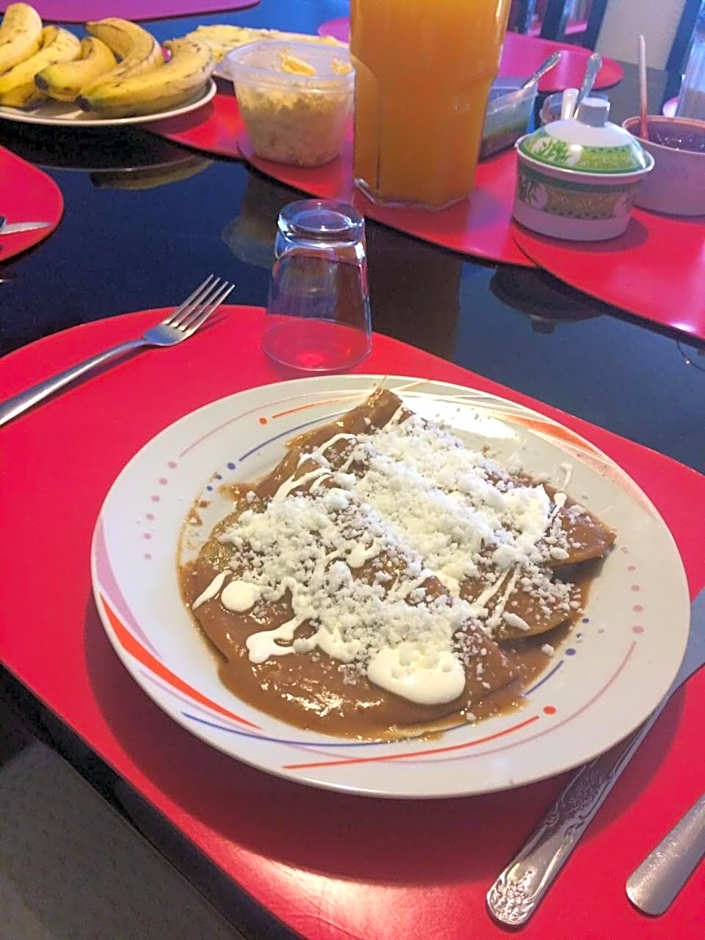 B&B México Roma Norte