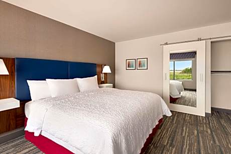 1 King Microwv/Fridge/Wet Bar Studio Suite Ns