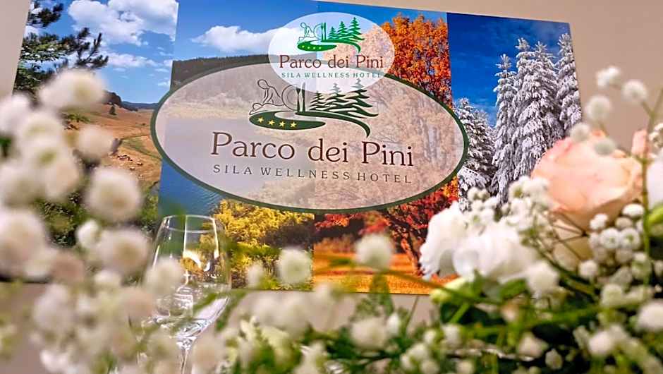 Parco dei Pini - Sila Wellness Hotel