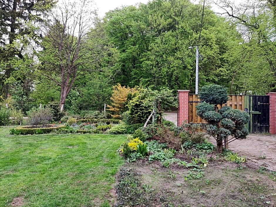 Bed & Breakfast - Warniłęg