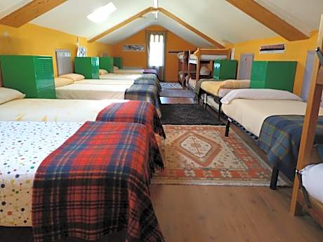 Bunk Bed in Mixed Dormitory Room