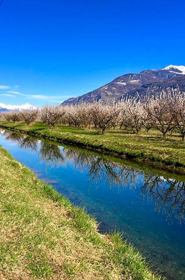 Saillon Evasion Sarl