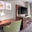 Hampton Inn By Hilton & Suites Arlington Crystal City DCA