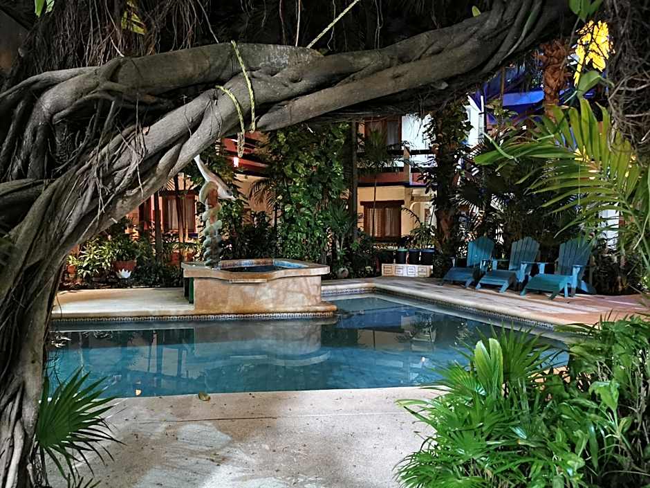 Eco-hotel El Rey del Caribe