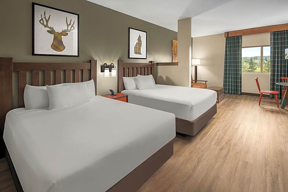 Foto 1 daripada 3 — Majestic Bear Suite