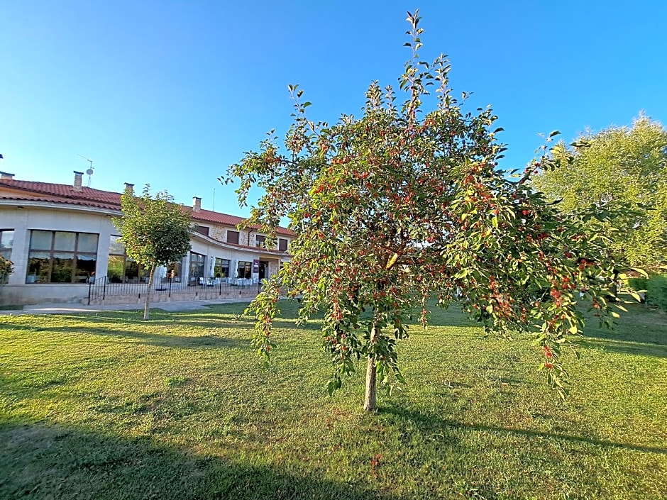 Prado de las merinas