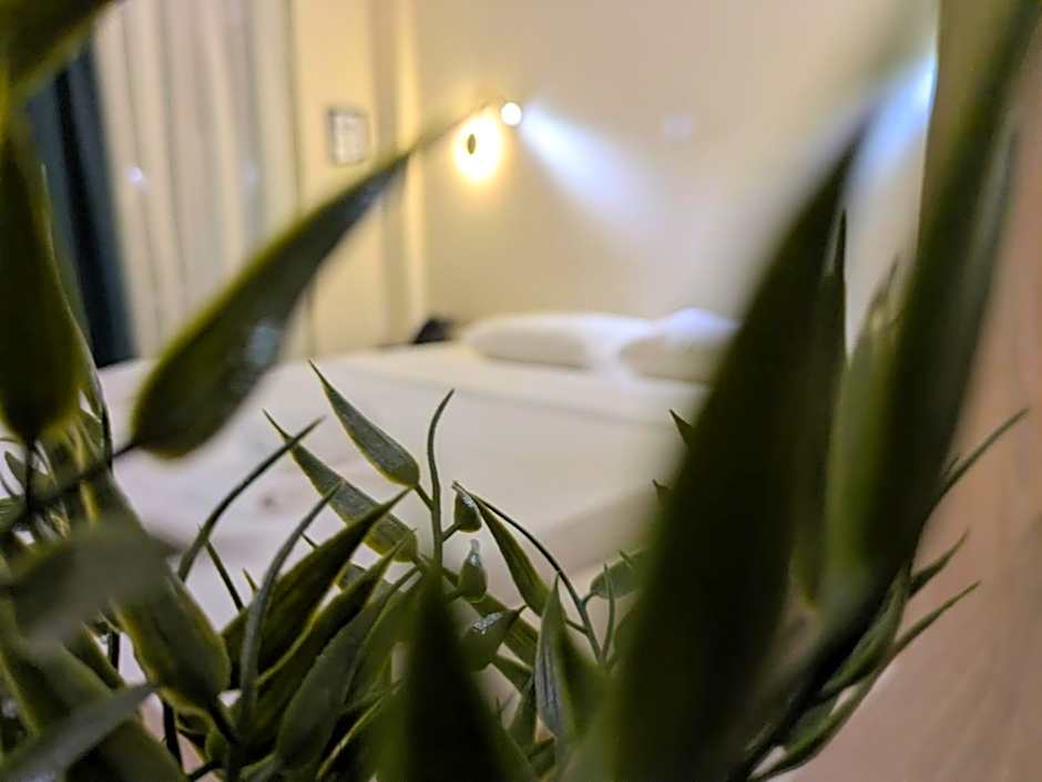 AIR-IN Rooms with magnificent views