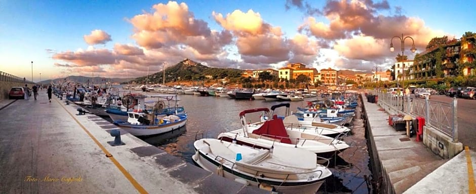 Quasi in Porto Rooms