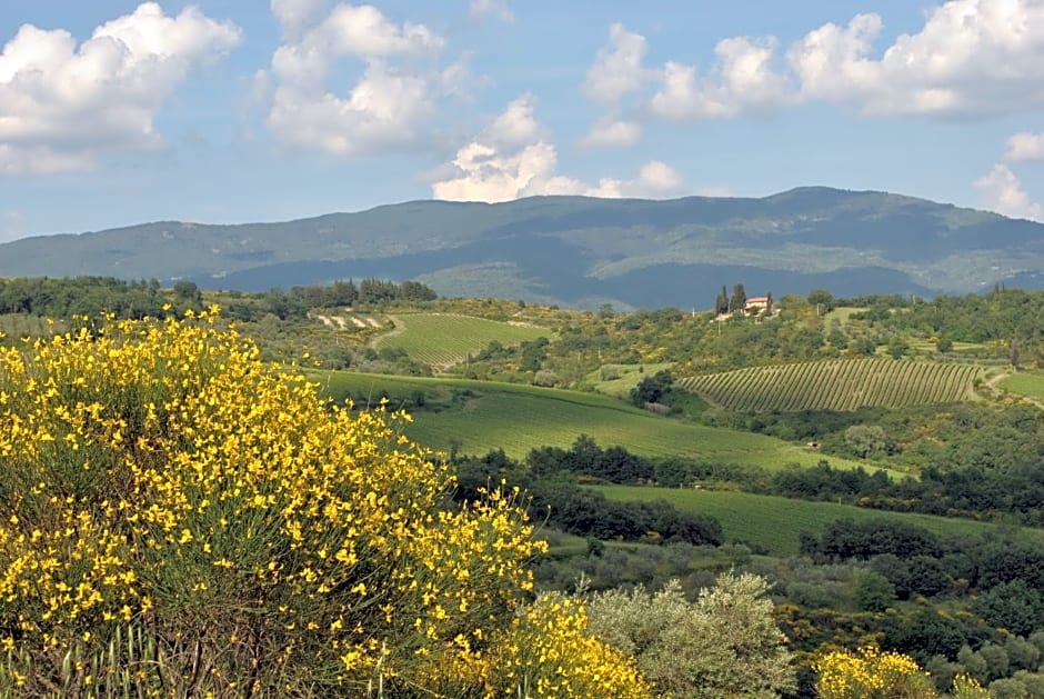 B&B Lavanda e Rosmarino