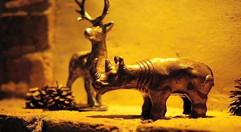 Cinnamon Guest House Dogo