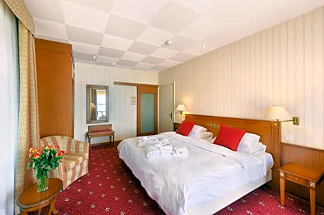 Deluxe Double or Twin Room with Lake View