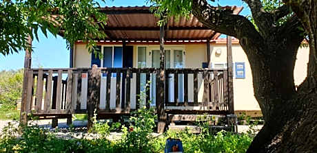 The Farm Tiny House - Tiny Casa