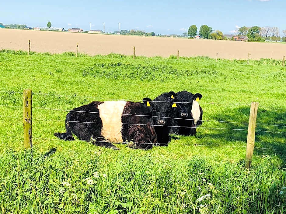 Slapen bij de Zeeuwse Lala