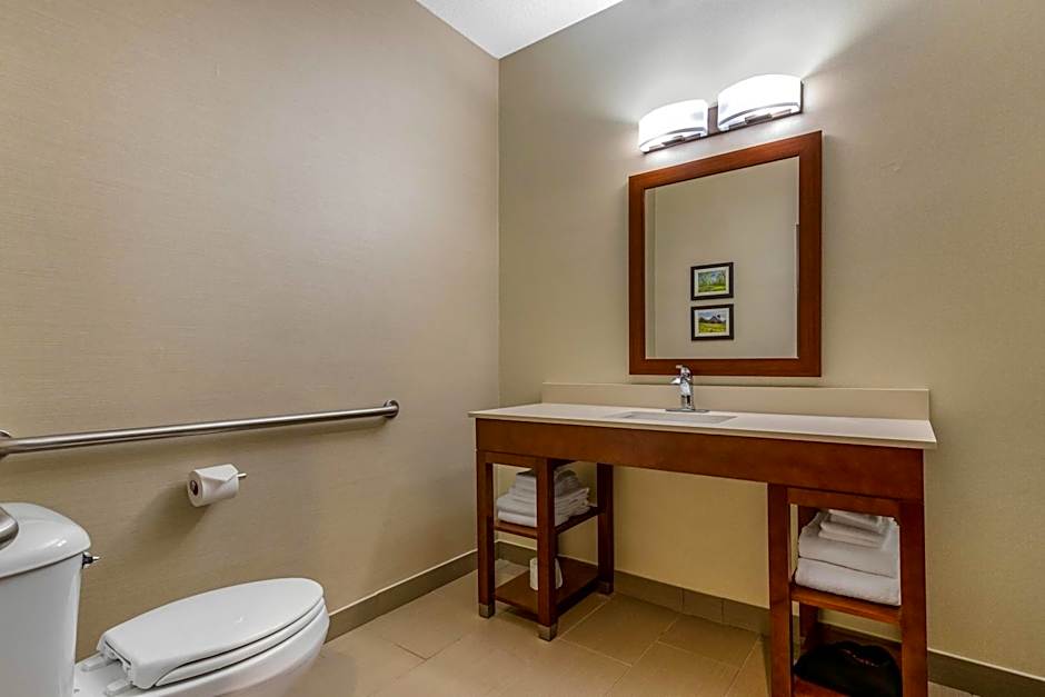 Comfort Suites Cedar Falls