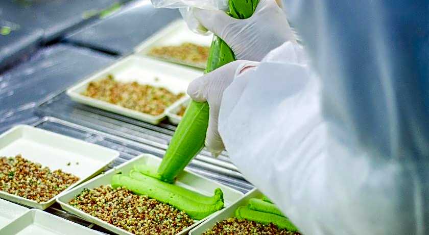 Novotel Kochi Infopark