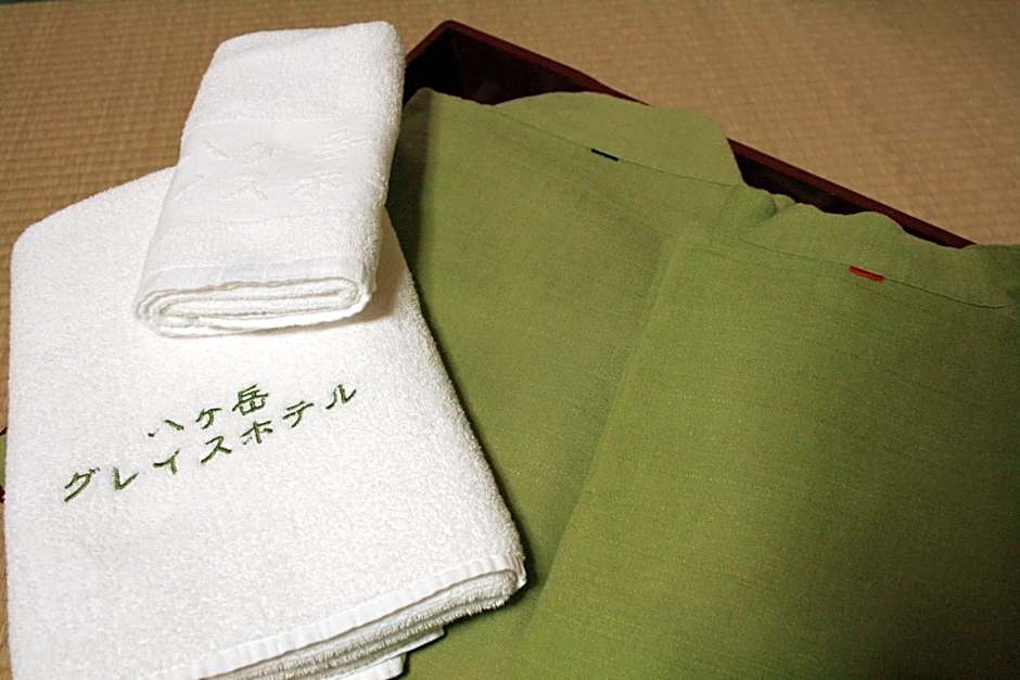 Yatsugatake Grace Hotel