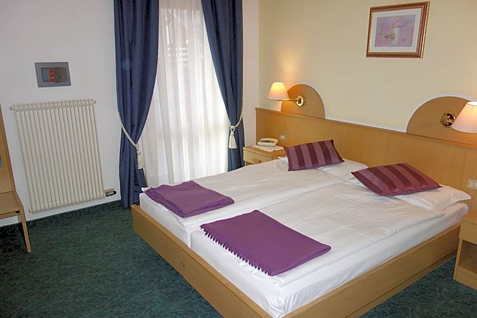 Alpine Touring Hotel-petfriendly