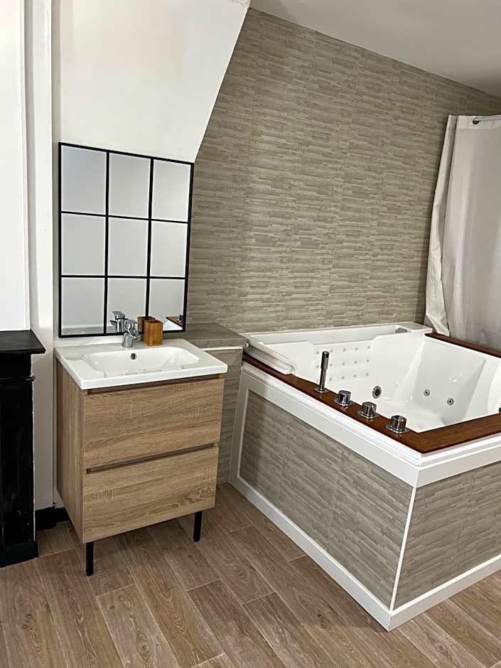 Magnifique Loft 35m2 Jacuzzi RVB NIGHT 1