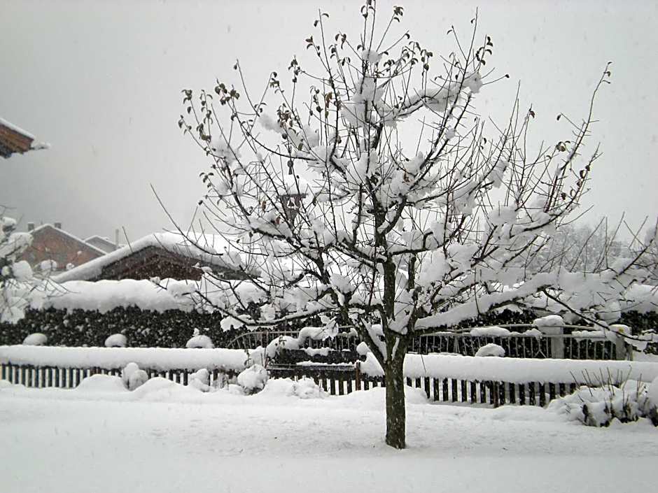 Hotel Garni Elisabeth