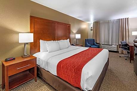 King Suite - Accessible/Non-Smoking