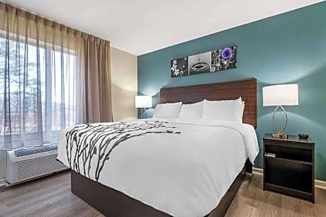 1 King Bed Suite Nonsmoking
